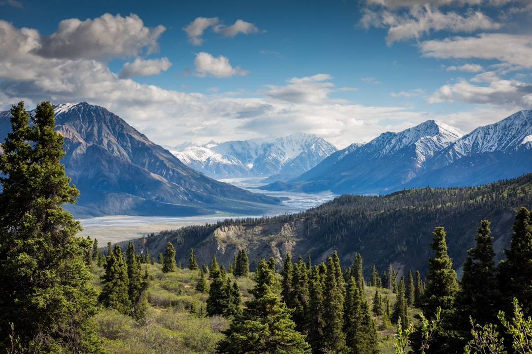 A narrow-gauge railway traversing the picturesque Russian landscape