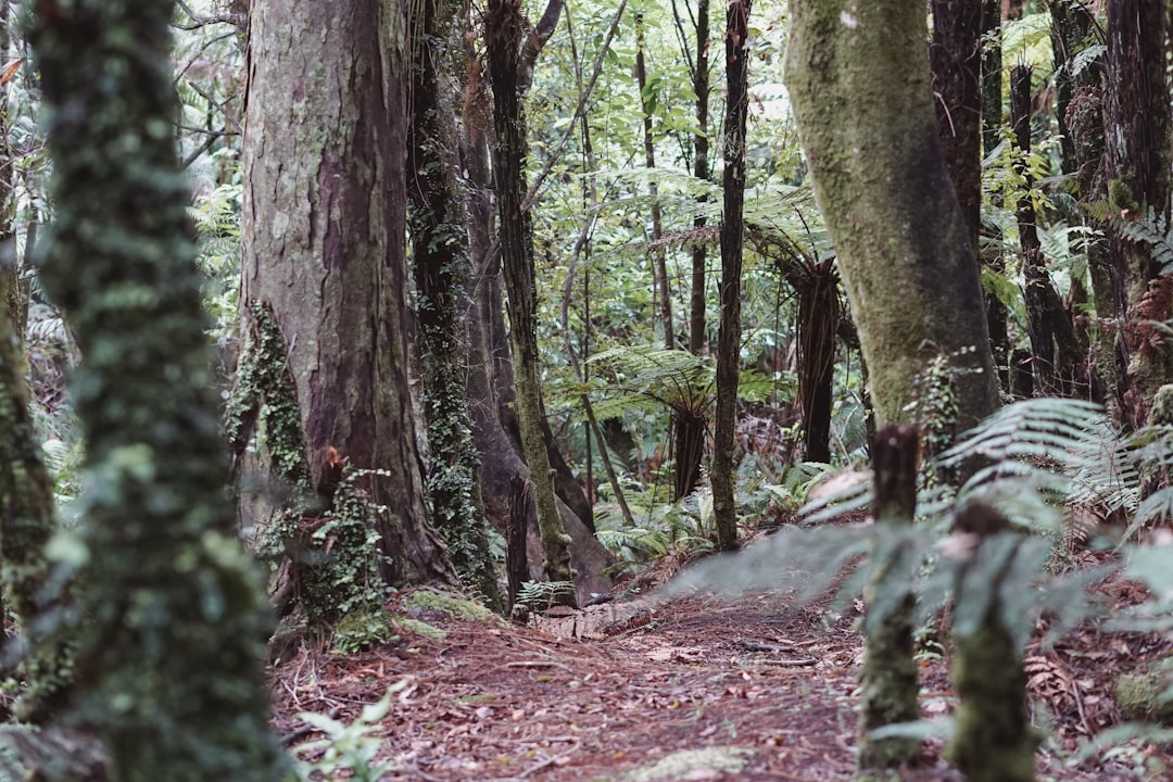 Featured image of post Budget Nature Trips in Costa Rica